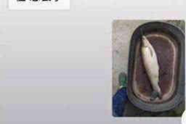 三门融资清欠服务